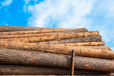 Similar image 21280377