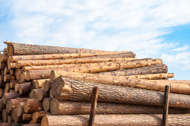 Similar image 21280378