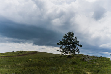 Similar image 21286871