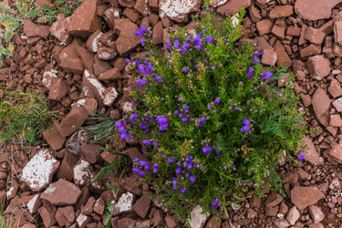 Similar image 21286889