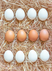 Similar image 21277545