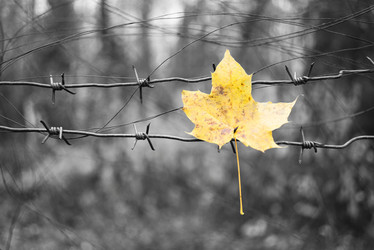 Similar image 21277369