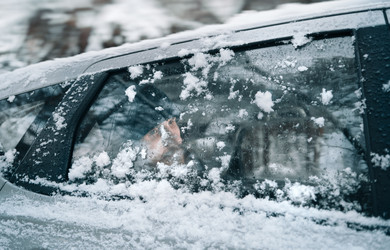 Similar image 21277392