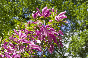 Similar image 21277478