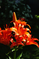 Similar image 21277480