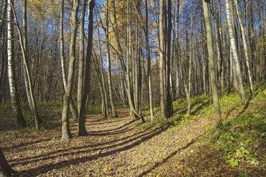 Similar image 21277481