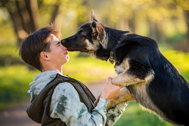 Similar image 21280003