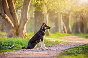 Similar image 21277910