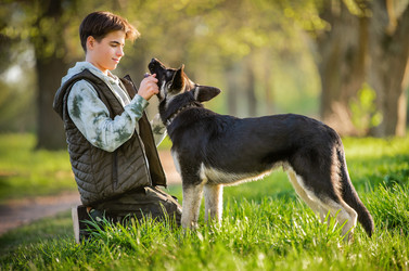 Similar image 21280004