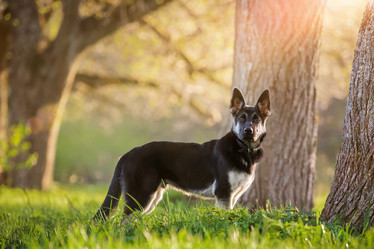 Similar image 21277911