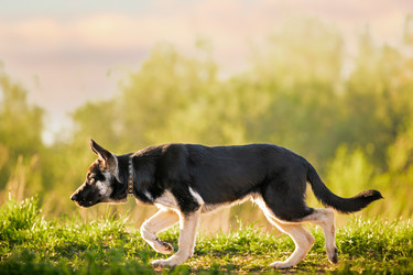 Similar image 21280005