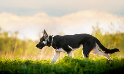 Similar image 21277913