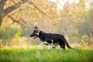 Similar image 21277914