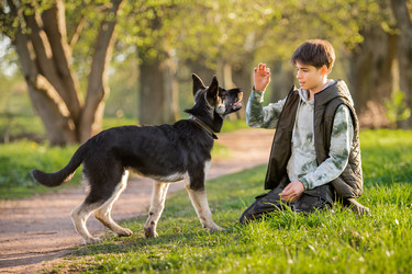 Similar image 21280864