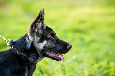 Similar image 21280865