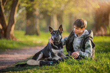 Similar image 21277922