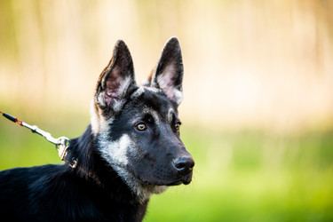 Similar image 21277926