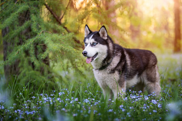 Similar image 21277927