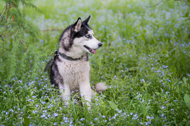 Similar image 21280869