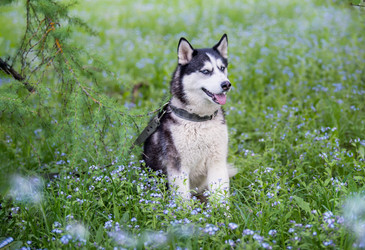 Similar image 21277928