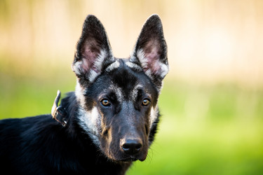 Similar image 21277941