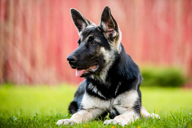 Similar image 21277946