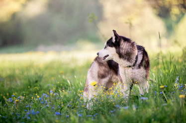 Similar image 21277951