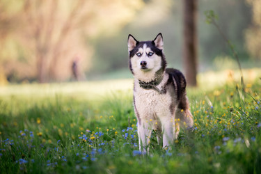 Similar image 21277953