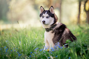 Similar image 21280014