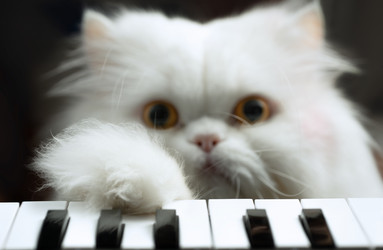 Similar image 21277643