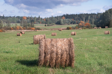 Similar image 21277647