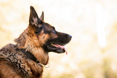 Similar image 21285121