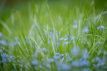 Similar image 21277962