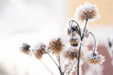 Similar image 21278493