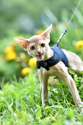 Similar image 21291901