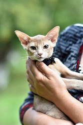 Similar image 21291902