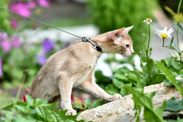 Similar image 21291906