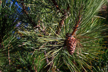 Similar image 21277694