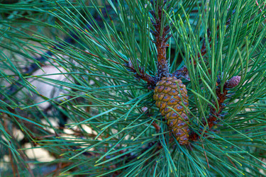 Similar image 21277700