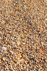 Similar image 21277703