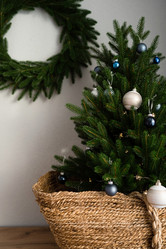 Similar image 21278333