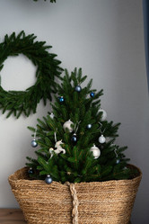 Similar image 21278338