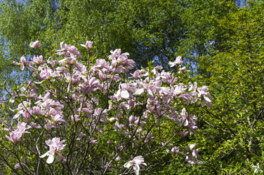 Similar image 21277654