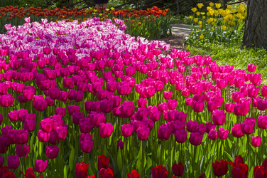 Similar image 21277655