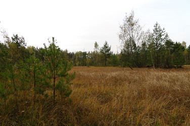 Similar image 21277660