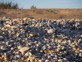 Similar image 21278243