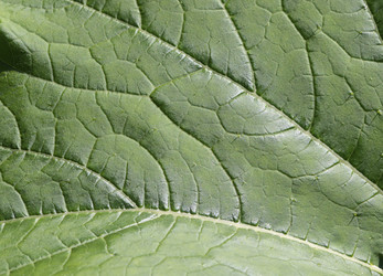 Similar image 21278245