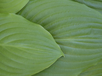 Similar image 21278246