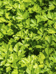 Similar image 21278248