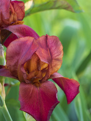 Similar image 21278252